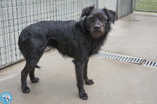 Greta, l’amore vero arriva piano.. Foto 2